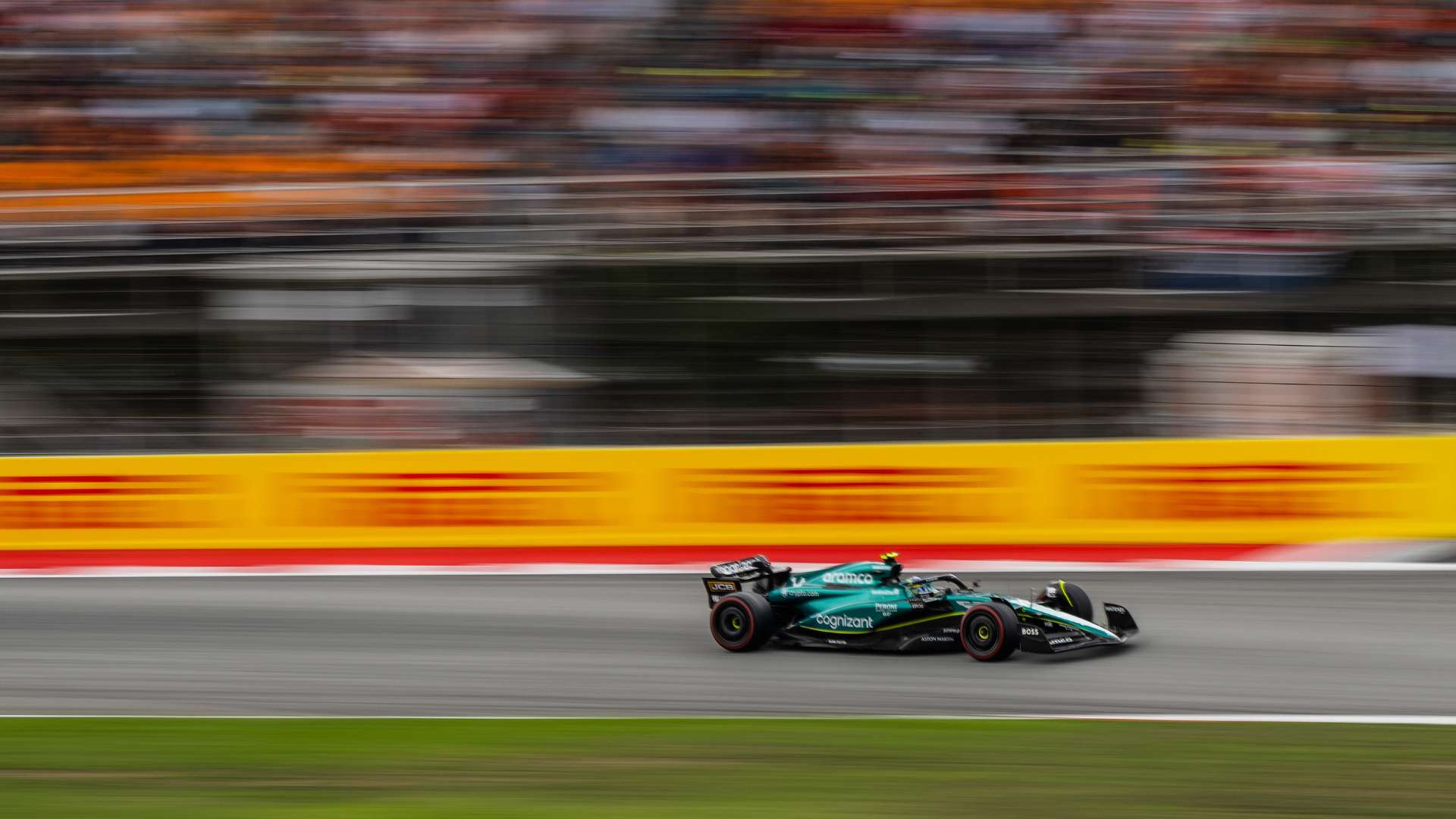 极大丰富了 极大丰富了