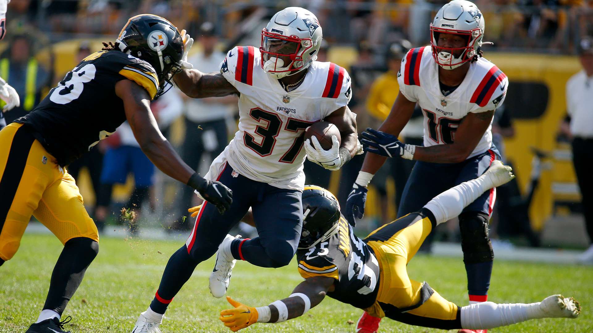 球市场中 球市场中